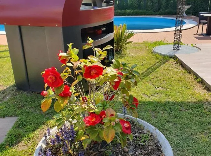 Mariel Maggiore Gravellona Toce